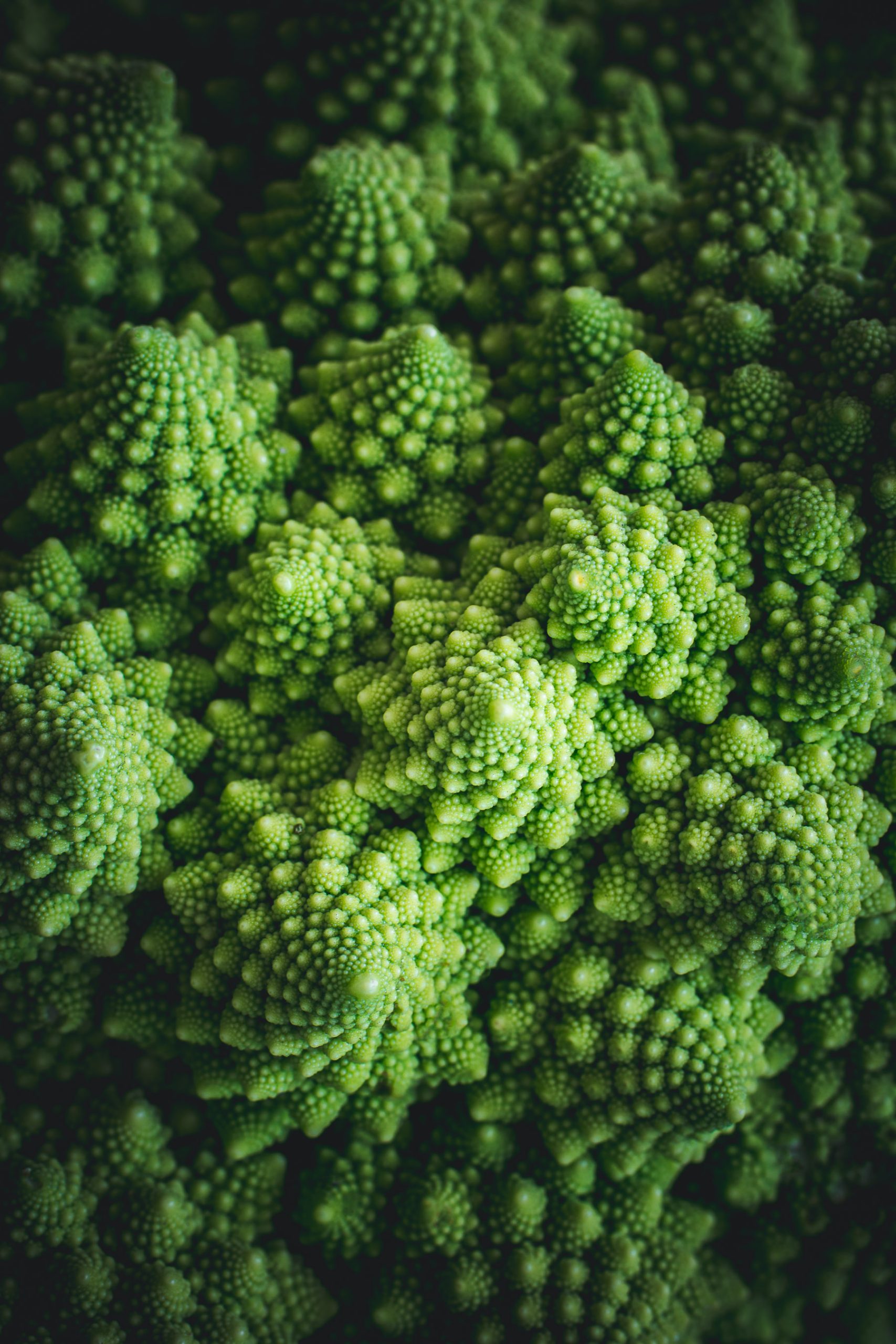 Romanesco makro fotografia, food fotograf Zuzana Rainet, Bratislava Slovensko